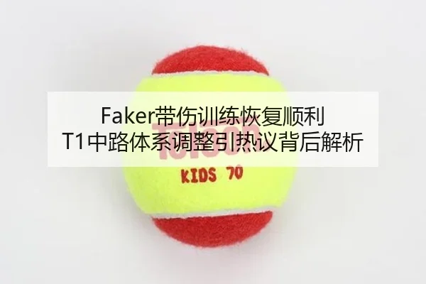 Faker带伤训练恢复顺利 T1中路体系调整引热议背后解析